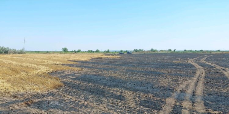 Amenzi aplicate de Garda de Mediu Brăila pentru producerea intenționată a unor incendii de miriște și vegetație uscată