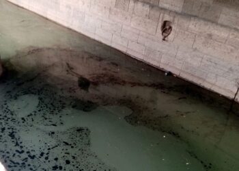 Ape contaminate cu santina deversate de nava AZZA H