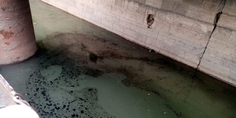 Ape contaminate cu santina deversate de nava AZZA H