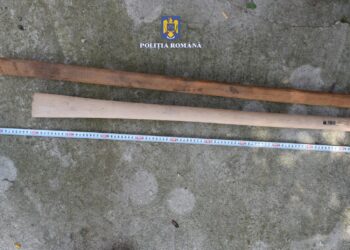 Un brăilean și un buzoian reținuți de polițiști după ce la percheziții le-au găsit sabii și macete
