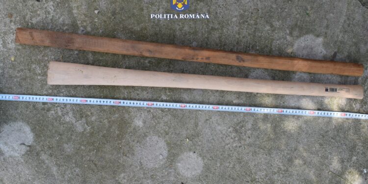 Un brăilean și un buzoian reținuți de polițiști după ce la percheziții le-au găsit sabii și macete