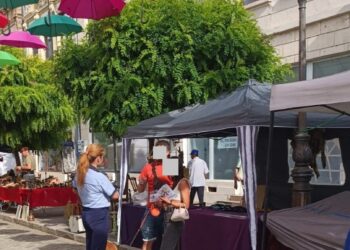 ACTIVITĂȚI COMUNE DE INFORMARE ȘI PREVENIRE ADRESATE BRĂILENILOR DE POLIȚIȘTI ÎN PERIOADA MINIVACANȚEI DE SFÂNTA MARIA
