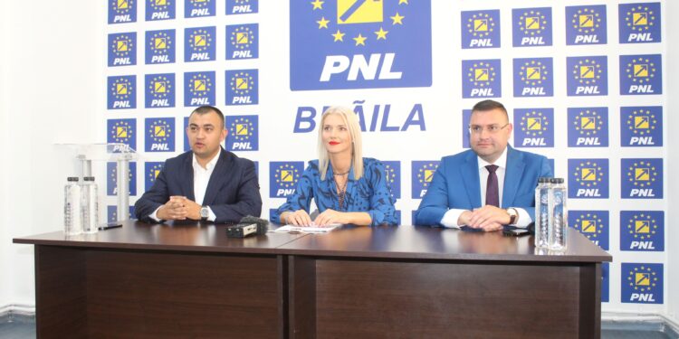 Alina Gorghiu a anunțat lansarea unei aplicații care va facilita recuperarea prejudiciilor provenite din infracțiuni