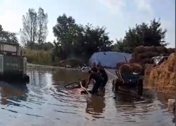 Curți inundate în urma fenomenelor meteo de aseară