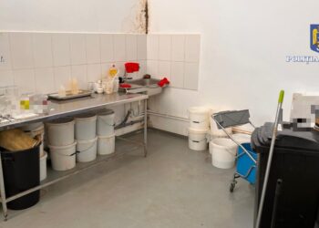 Percheziţii domiciliare în județul Brăila, într-un dosar privind fabricarea și comercializarea dispozitivelor electronice de vapat