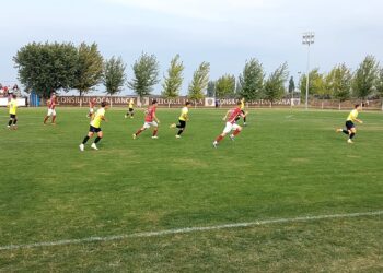 Viitorul Ianca învinsă pe teren propriu de CSM Focșani 2007