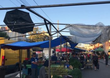 Cătălin Canciu (PNL): ”Conducerea Administraţiei Pieţelor a irosit şapte ani buni din cauza lipsei de viziune, dar şi din cauza indiferenţei faţă de un comerţ civilizat”