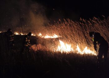 De la începutul anului, pompierii brăileni au intervenit la stingerea a 206 incendii de vegetație