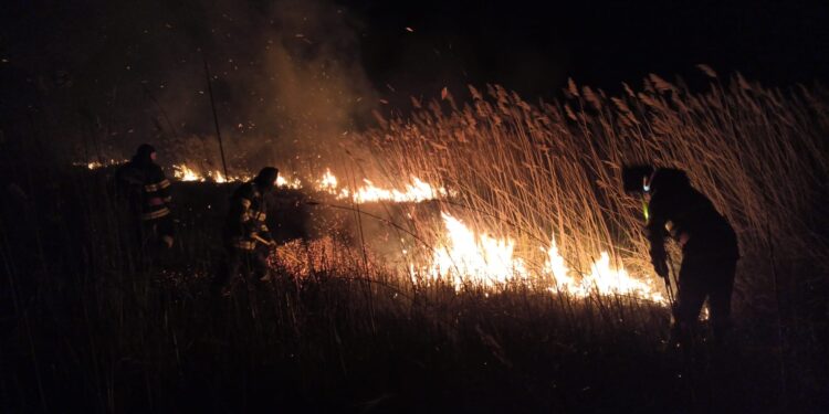 De la începutul anului, pompierii brăileni au intervenit la stingerea a 206 incendii de vegetație