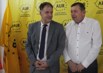 Cîrligea spune că la spitalul județean s-au cheltuit inutil foarte mulți bani, iar colegul său de partid, Viorel Botea, consideră că managementul spitalului a fost mediu spre bun până la incidentul cu pacientul decedat