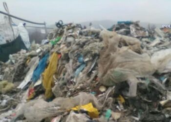 Cercetați pentru itroducerea ilegală de deșeuri în țară