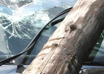 Un șofer sub influența alcoolului a intrat cu mașina într-un stâlp pe DN23. O pasageră în autoturism a fost transportată la spital pentru acordarea de îngrijiri medicale