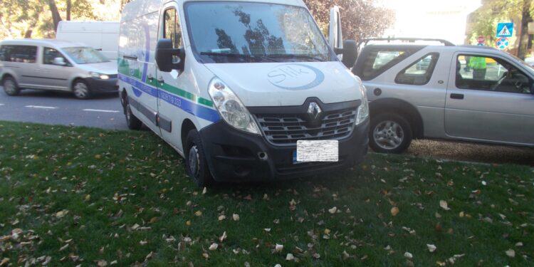 Tupeu la 19 ani. A parcat autoutilitara pe spațiul verde