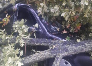 Copac căzut peste trei mașini pe Aleea Cocorilor, în urma furtunii de sâmbătă după amiază