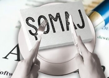 Cum a evoluat numarul de someri in ultimii 20 de ani