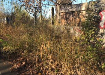 Cătălin Canciu (PNL): ”Primăria se laudă cu o pistă de antrenament la LPS Brăila, dar a lăsat în paragină Stadionul de Atletism”