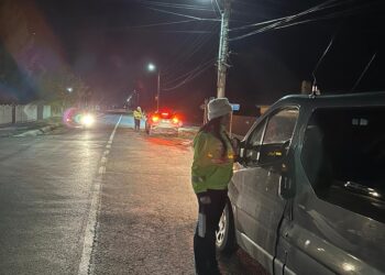 Acțiuni și razii desfășurate duminică de polițiștii și jandarmii brăileni