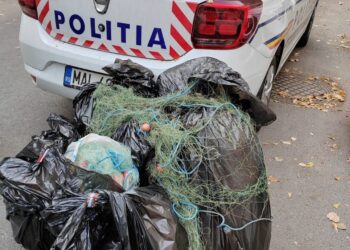 Opt percheziții domiciliare, atât pe raza municipiului Brăila, cât și pe malul stâng al fluviului Dunărea