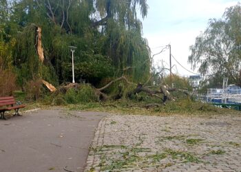 Conform spuselor primarului, abia pe la sfârșitul lui ianuarie am putea scăpa de toate crengile și toți copacii căzuți după viscolul de duminică, 26 noiembrie