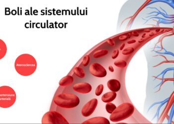 Harta deceselor cauzate de tensiune și alte boli ale sistemului circulator