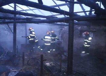 Incendiu la un grajd din comuna Vișani. Acoperișul grajdului și opt bovine au ars în incendiu