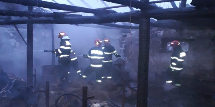 Incendiu la un grajd din comuna Vișani. Acoperișul grajdului și opt bovine au ars în incendiu