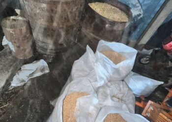 Un brăilean și 4 gălățeni, prinși la furat cereale din vagoane de marfă. Cei 5 erau angajați la două districte căi ferate