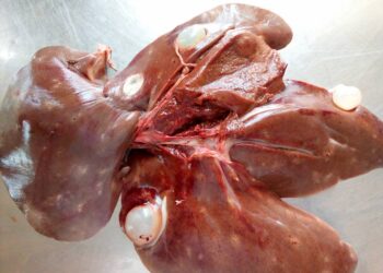 Măcelărie din Piața Halelor amendată de Protecția Consumatorului Brăila