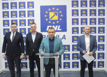 Deputatul Alexandru Popa spune că fermierii din Bordei Verde ar putea rămâne fără pășune dacă se materializa intenția primarului PSD de a concesiona acel teren pentru un parc de panouri fotovoltaice