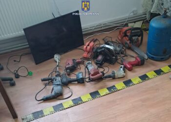 Bărbat din comuna Viziru reținut pentru furturi. Polițiștii au recuperat prejudiciul