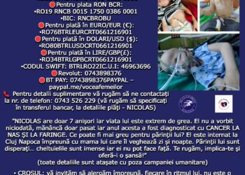 Cros umanitar pentru Nicolas