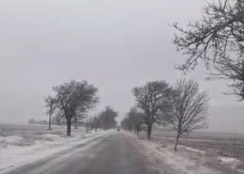 Situația în județul Brăila în urma fenomenelor meteo înregistrate în data de 8 ianuarie 2024