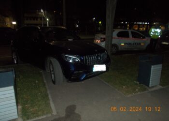 Amendat de Poliția Locală după ce a parcat autoturismul pe spațiul verde de pe Bulevardul Independenței