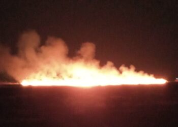 Garda Națională de Mediu Comisariatul Județean Brăila a sesizat Parchetul de pe lângă Judecătoria Brăila în cazul unor incendii de vegetație uscată