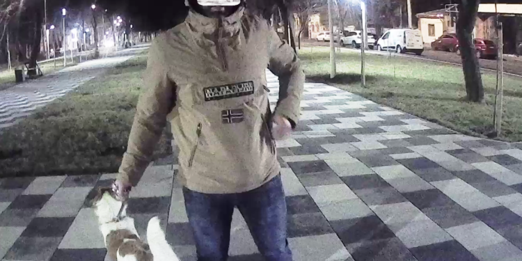Poliția locală cu ochii pe cei care nu respectă curățenia pe domeniul public al municipiului Brăila