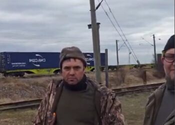 Un mecanic de tren ar fi văzut azi noapte o ursoaică cu pui în zona Făurei-sat