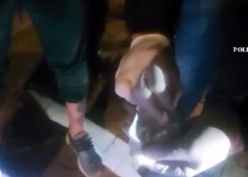 Percheziții în județele Brăila și Buzău la persoane bănuite de trafic de droguri de risc
