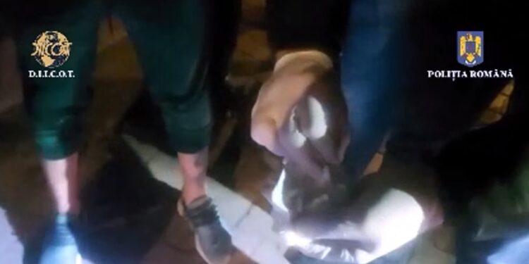 Percheziții în județele Brăila și Buzău la persoane bănuite de trafic de droguri de risc