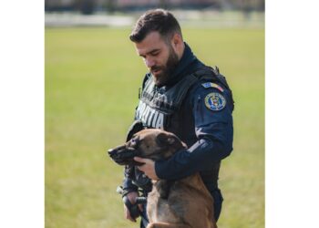 IPJ Brăila caută iubitori de animale