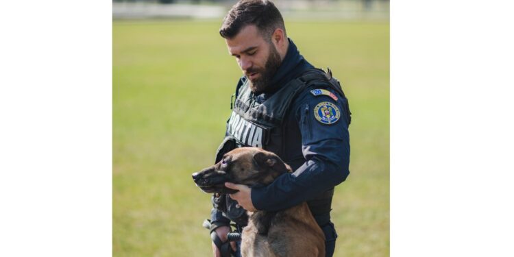 IPJ Brăila caută iubitori de animale