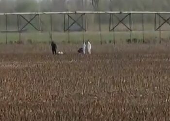 Un dispozitiv aerian, posibil dronă, a căzut pe un teren agricol din Insula Mare a Brăilei