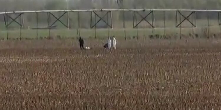 Un dispozitiv aerian, posibil dronă, a căzut pe un teren agricol din Insula Mare a Brăilei