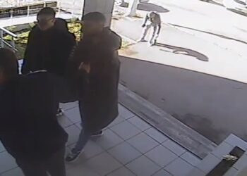 Cât i-a costat pe trei frați un selfie cu Jandarmeria?