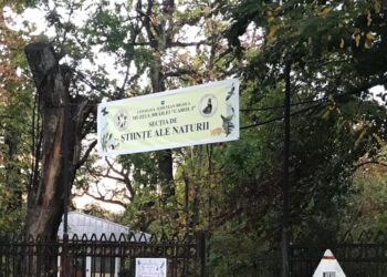 Președintele CJ Brăila vrea să demoleze actuala clădire a Secţiei de Științele Naturii a Muzeului Brăilei „Carol I”