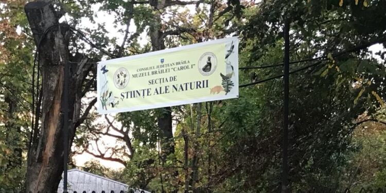 Președintele CJ Brăila vrea să demoleze actuala clădire a Secţiei de Științele Naturii a Muzeului Brăilei „Carol I”
