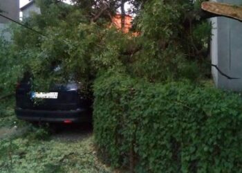 Vântul puternic a creat probleme în municipiul și județul Brăila. Copaci căzuți peste autoturisme. Praful de pe un teren agricol adus pe calea de rulare, ceea ce a redus vizibilitatea