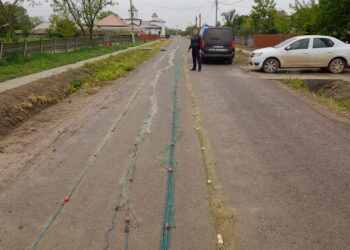 Percheziții ale polițiștilor pentru combaterea braconajului piscicol