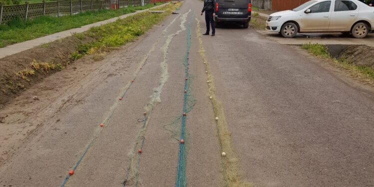 Percheziții ale polițiștilor pentru combaterea braconajului piscicol
