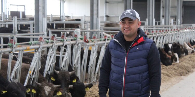 Acuzat că încasează subvenții pentru animale care nu există, președintele PNL Brăila Alexandru Popa și-a prezentat ferma de îngrășare tăurași populată cu 600 de capete