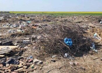 Sancțiuni aplicate de Garda de Mediu Brăila în luna aprilie